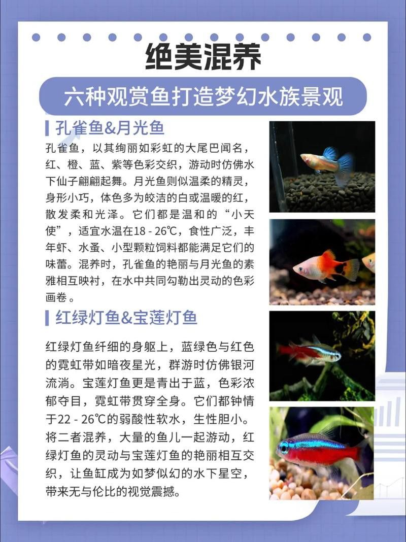狗頭魚和金龍魚能混養(yǎng)嗎圖片欣賞