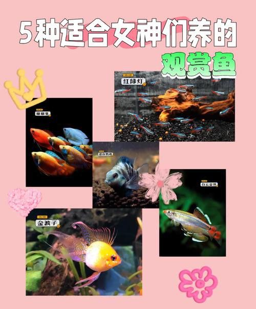 狗頭魚和金龍魚能混養(yǎng)嗎圖片欣賞