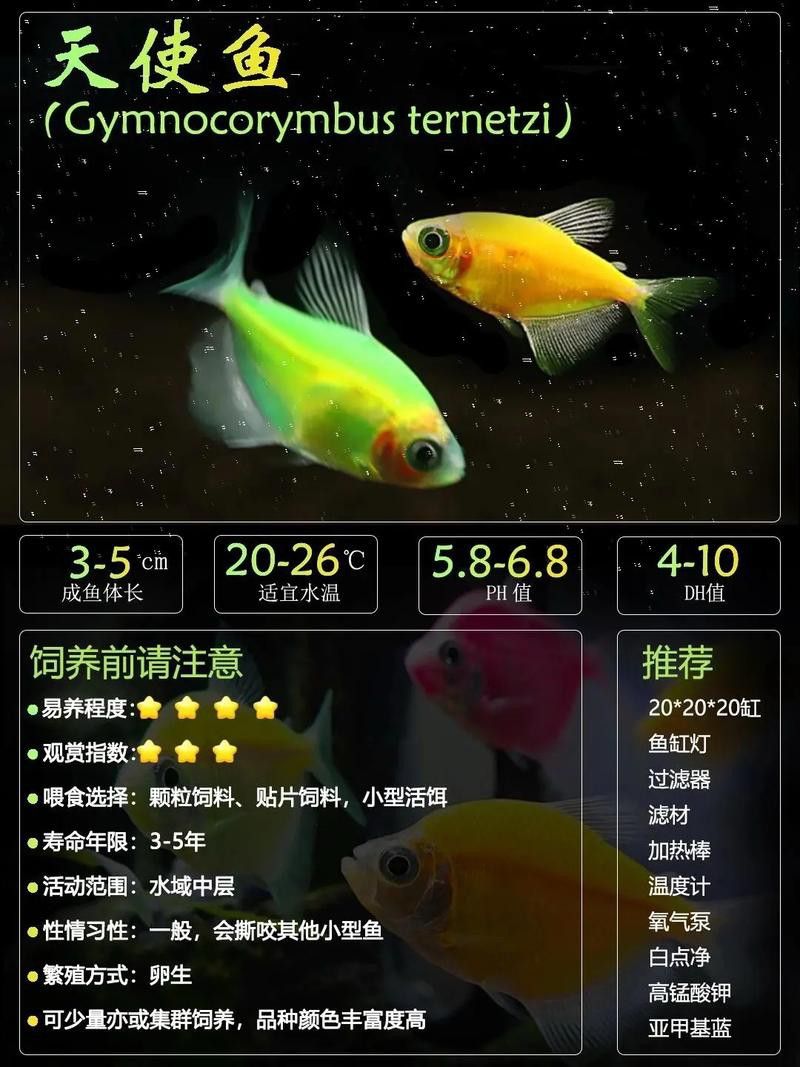 狗頭魚和金龍魚能混養(yǎng)嗎圖片欣賞