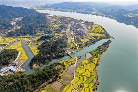 魚缸的壞處（魚缸安全防護方法介紹魚缸爆裂應急處理方法介紹）
