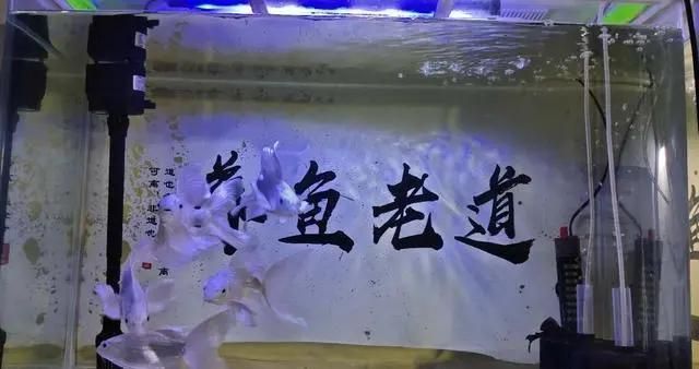 魚缸的壞處（魚缸安全防護方法介紹魚缸爆裂應急處理方法介紹）