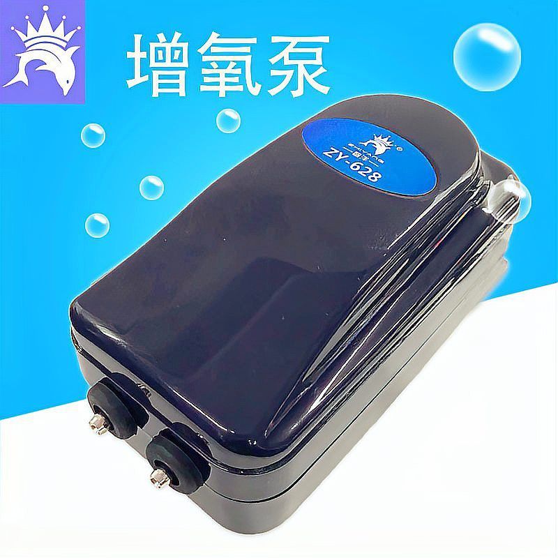 有哪些品牌龍魚設(shè)備值得推薦？