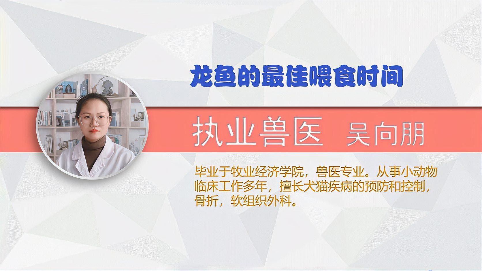 抱珠龍魚多久喂一次食物 抱珠龍魚多久喂一次食物 龍魚百科 第2張