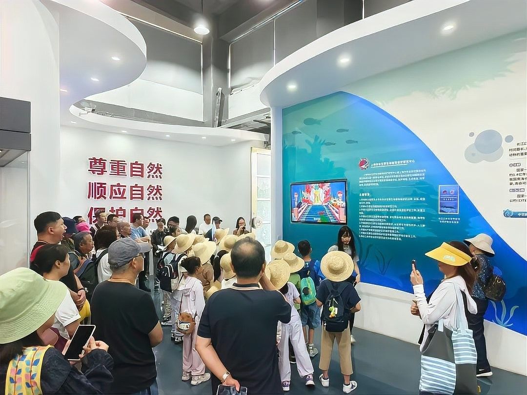 長江龍魚圖片欣賞