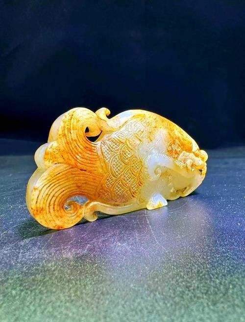 長江龍魚圖片欣賞