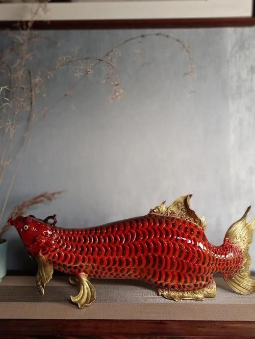 長江龍魚圖片欣賞