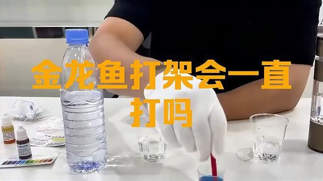 混養金龍魚需要多大的魚缸？ 混養金龍魚需要多大的魚缸？ 龍魚百科 第2張