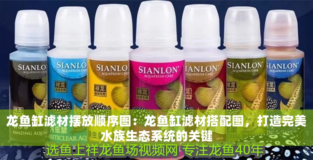 龍魚缸濾材擺放順序圖:龍魚缸濾材搭配圖,打造完美水族生態系統的關鍵 龍魚百科 第1張 龍魚缸濾材擺放順序圖:龍魚缸濾材搭配圖,打造完美水族生態系統的關鍵 龍魚缸濾材擺放順序圖:龍魚缸濾材搭配圖,打造完美水族生態系統的關鍵 龍魚百科 第1張