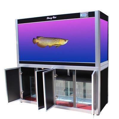 龍魚魚缸廠家電話號(hào)碼多少：如何辨別魚缸材質(zhì)優(yōu)劣,龍魚飼養(yǎng)環(huán)境要求詳解 龍魚魚缸廠家電話號(hào)碼多少：如何辨別魚缸材質(zhì)優(yōu)劣,龍魚飼養(yǎng)環(huán)境要求詳解 龍魚百科 第5張