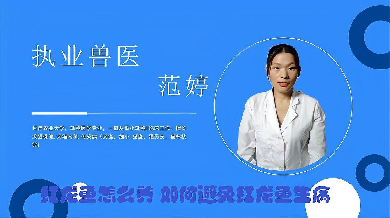 如何預(yù)防小紅龍魚疾病？ 如何預(yù)防小紅龍魚疾病？ 龍魚百科 第4張