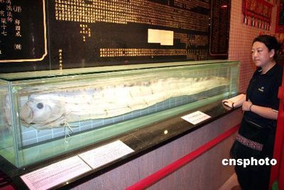 香港一條普通龍魚能賣多少錢（關于香港普通龍魚的價格，我們可以得出以下信息）