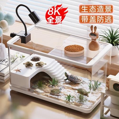 六角龍的最佳混養(yǎng)伙伴有哪些？