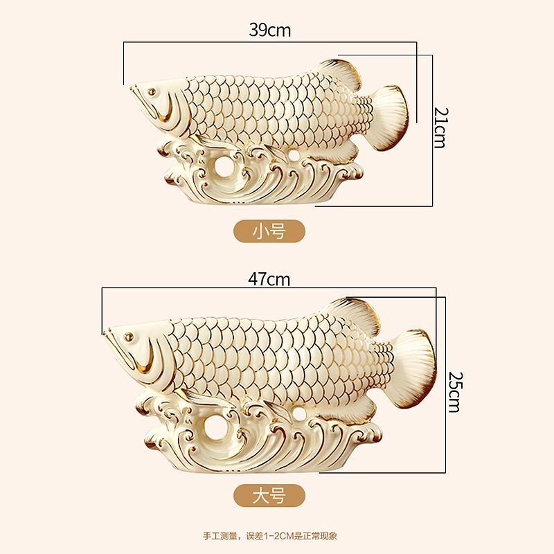 金龍魚尺寸怎么量的：金龍魚尺寸測量方法 金龍魚尺寸怎么量的：金龍魚尺寸測量方法 龍魚百科 第2張