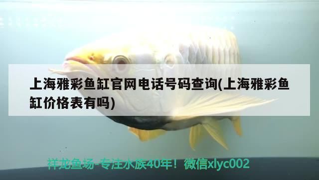 <strong><mark>上海</mark></strong>雅彩魚缸官網(wǎng)電話號(hào)碼查詢(<strong><mark>上海</mark></strong>雅彩魚缸價(jià)格表有嗎)