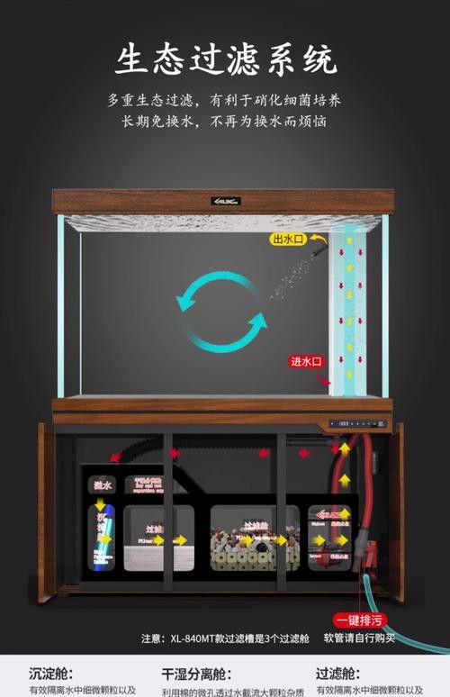 養(yǎng)金龍魚用什么魚缸 龍魚百科 第8張 養(yǎng)金龍魚用什么魚缸 養(yǎng)金龍魚用什么魚缸 龍魚百科 第8張
