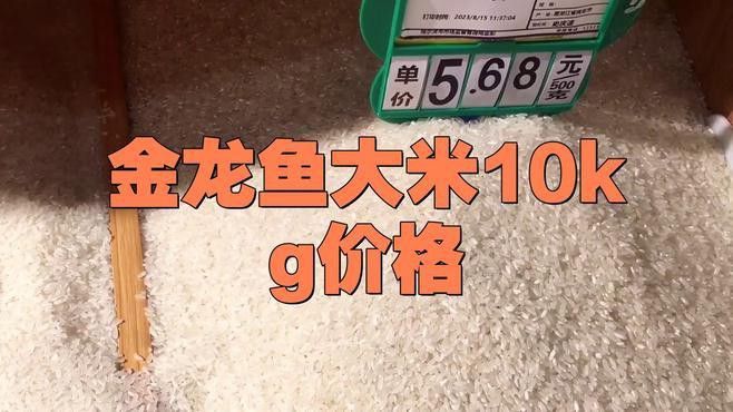 金龍魚稻花香10kg的價格是多少？ 金龍魚稻花香10kg的價格是多少？ 龍魚百科 第1張