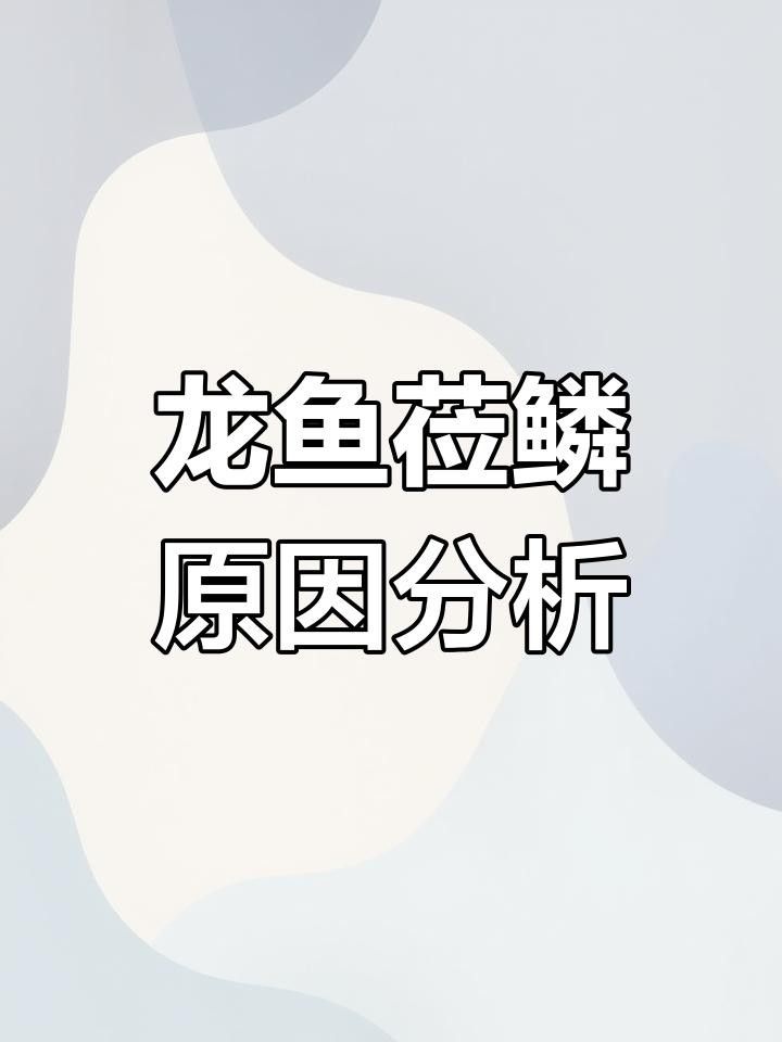 龍魚(yú)鱗片拔除后如何預(yù)防感染？ 龍魚(yú)鱗片拔除后如何預(yù)防感染？ 龍魚(yú)百科 第3張