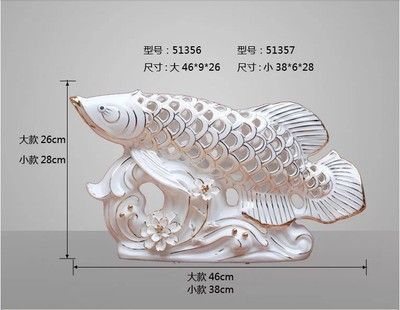 金龍魚規格有幾種型號：金龍魚的規格有幾種型號 金龍魚規格有幾種型號：金龍魚的規格有幾種型號 龍魚百科 第1張
