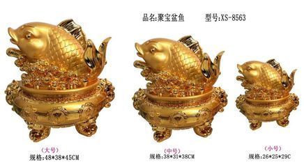 金龍魚規格有幾種型號：金龍魚的規格有幾種型號 金龍魚規格有幾種型號：金龍魚的規格有幾種型號 龍魚百科 第3張