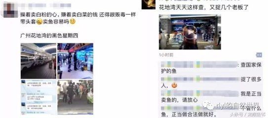 朋友圈發龍魚怎么說：在朋友圈發布關于龍魚的內容時