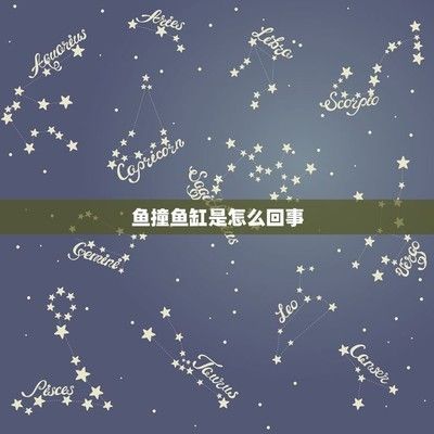 龍魚能把魚缸撞破嗎：龍魚不會把魚缸撞破嗎？