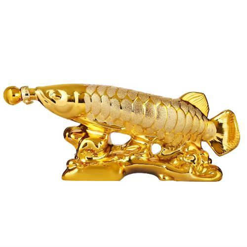 山西龍魚價格最新行情圖片大全