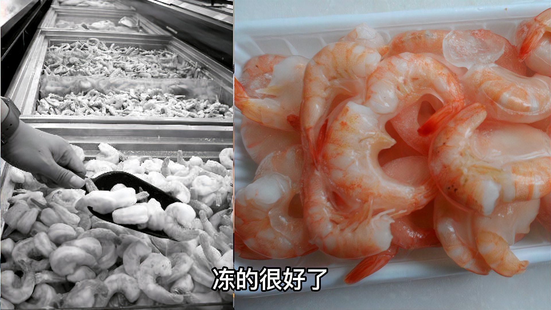 龍魚怎么喂養,需要注意什么問題