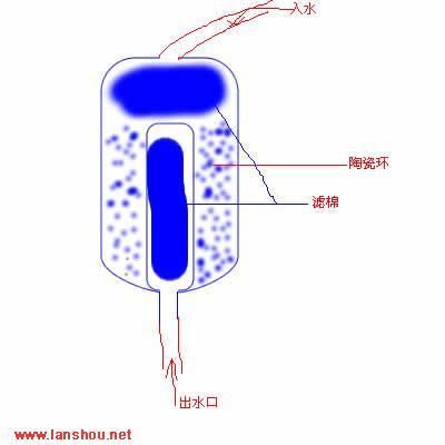 金龍魚為什么一直呆在出水口：金龍魚為什么一直呆在出水口可能是因為水中缺氧或水質(zhì)問題