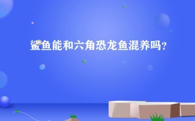 恐龍魚 壽命，六角恐龍魚的壽命通常在10到15年左右 恐龍魚 壽命，六角恐龍魚的壽命通常在10到15年左右 龍魚百科 第5張