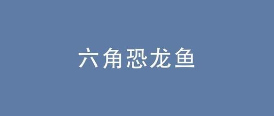 恐龍魚 壽命，六角恐龍魚的壽命通常在10到15年左右 恐龍魚 壽命，六角恐龍魚的壽命通常在10到15年左右 龍魚百科 第3張