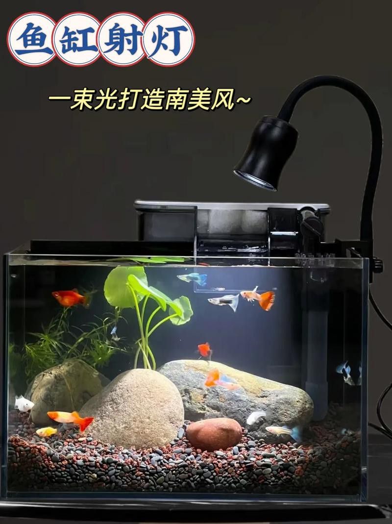 如何根據魚缸尺寸選擇LED燈功率？
