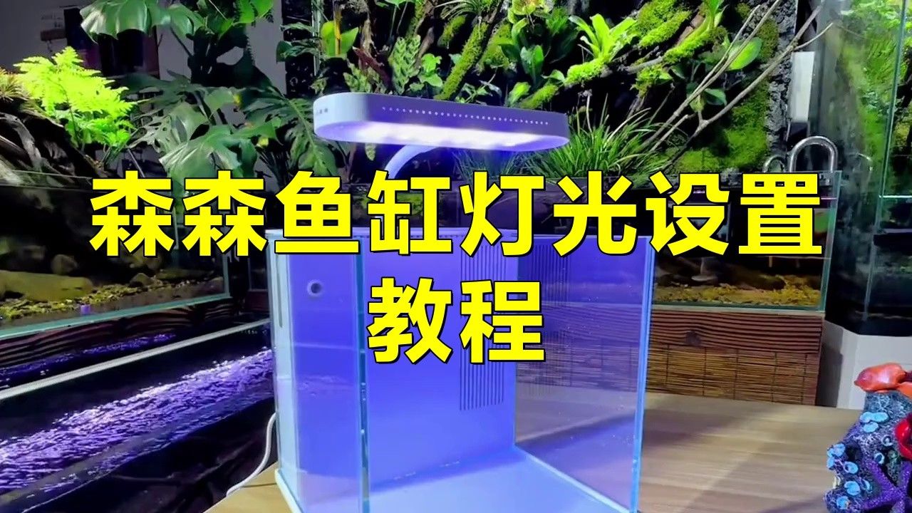 如何根據魚缸尺寸選擇LED燈功率？