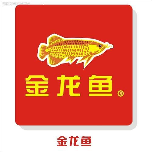 微信頭像圖片 龍魚 微信頭像圖片 龍魚 龍魚百科 第22張