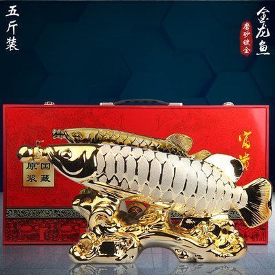 龍魚鯊魚嘴是什么樣子：如何鑒別高品質金龍魚，龍魚鯊魚嘴的市場價值