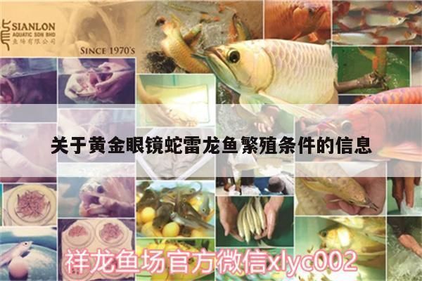 雷龍魚繁殖環境的水質要求:雷龍魚的繁殖環境對水質有特定的要求 龍魚百科 第4張 雷龍魚繁殖環境的水質要求:雷龍魚的繁殖環境對水質有特定的要求 雷龍魚繁殖環境的水質要求:雷龍魚的繁殖環境對水質有特定的要求 龍魚百科 第4張