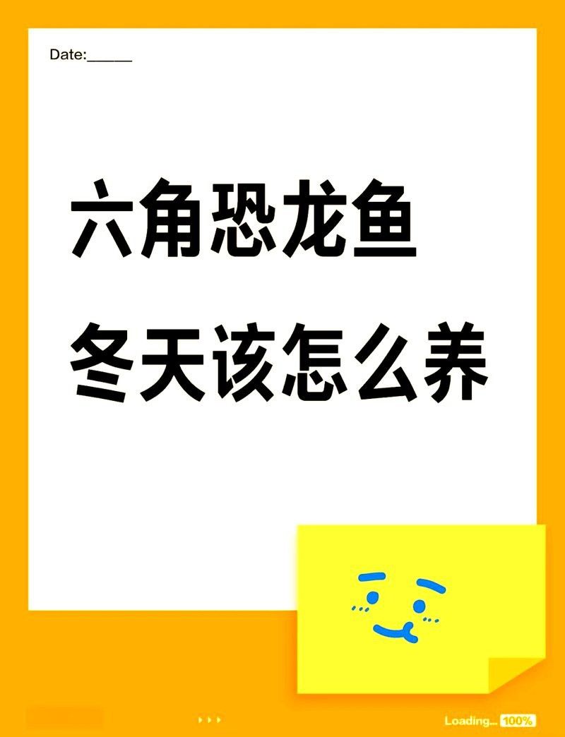 六角龍魚冬天會(huì)凍死嗎為什么 六角龍魚冬天會(huì)凍死嗎為什么 龍魚百科 第1張