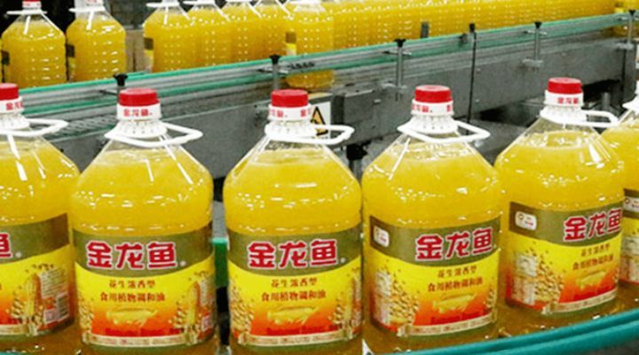 金龍魚為什么那么便宜（金龍魚為什么價格相對較低） 金龍魚為什么那么便宜（金龍魚為什么價格相對較低） 龍魚百科 第1張