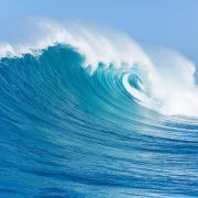 金龍魚為什么從口吐卵