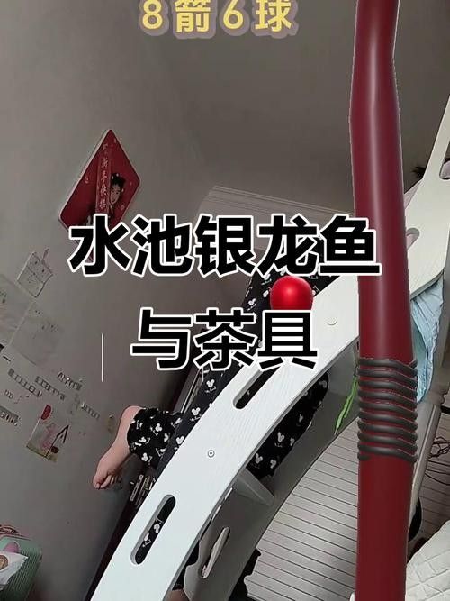 銀龍魚怎么養及喂養技巧視頻教程大全圖解