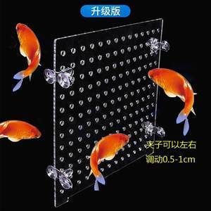 紅龍魚苗價(jià)格走勢(shì)最新（紅龍魚苗價(jià)格、批發(fā)報(bào)價(jià)、批發(fā)報(bào)價(jià)、批發(fā)報(bào)價(jià)、價(jià)格大全）