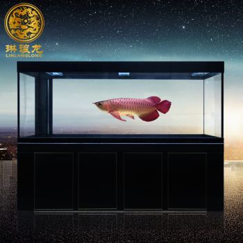 龍魚品牌(政錫龍魚品牌在中國市場占據重要地位) 龍魚百科 第3張 龍魚品牌(政錫龍魚品牌在中國市場占據重要地位) 龍魚品牌(政錫龍魚品牌在中國市場占據重要地位) 龍魚百科 第3張