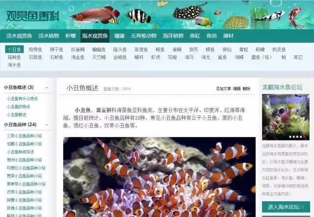龍魚論壇吧：龍魚論壇是一個專門為龍魚愛好者提供交流平臺