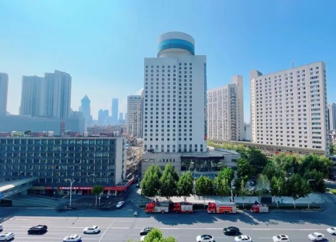 武漢大鴻雁 金龍魚專賣店在哪里