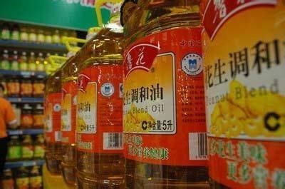 龍魚可以喂紅蟲嗎，如何自制龍魚紅蟲飼料，紅蟲與其他飼料搭配比例
