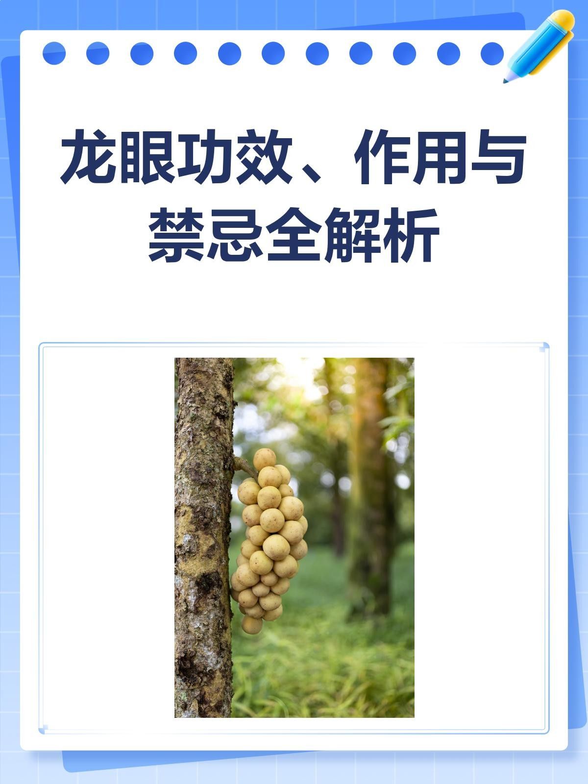 龍眼白膜如何食用？