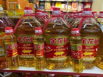 金龍魚生活溫度【金龍魚最適宜的溫度為24℃-29℃】