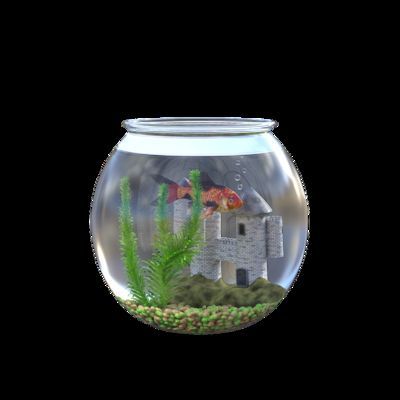 龍魚適合的溫度:龍魚不同階段的飼養技巧 龍魚百科 第5張 龍魚適合的溫度:龍魚不同階段的飼養技巧 龍魚適合的溫度:龍魚不同階段的飼養技巧 龍魚百科 第5張