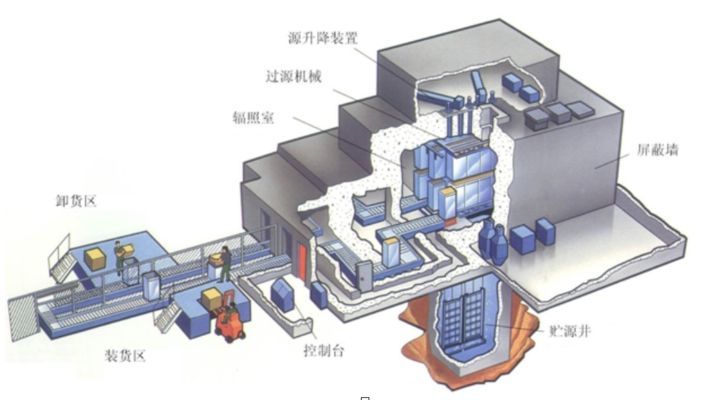 龍魚爛鰭爛尾原因：龍魚爛鰭爛尾的原因