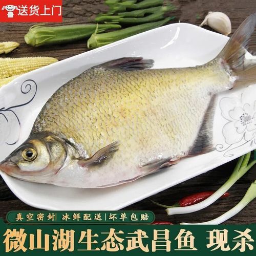 武漢金龍魚(yú)武漢分公司產(chǎn)品