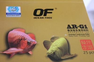 紅龍魚缸怎么配魚飼料（紅龍魚的飼養方法）